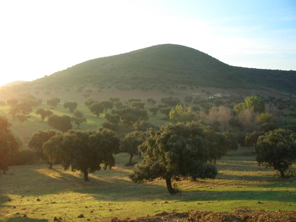 Cortijo El Criadero El Hoyo Oda fotoğraf